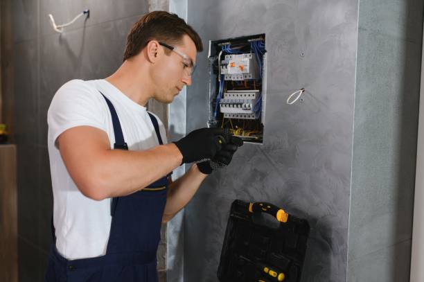 Best Generator Installation Services  in Toulon, IL